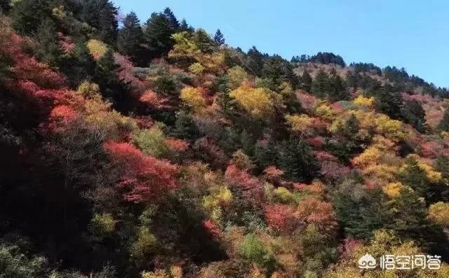 神农架好玩吗？