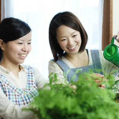 中药陈艾孕妇感冒能吃吗？