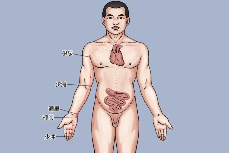 手掌经络图按摩