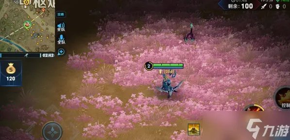 王者荣耀花海在边境突围位置一览