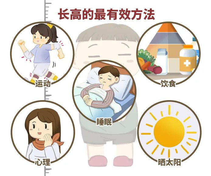 长高的最有效方法