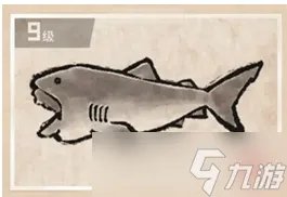 潜水员戴夫巨口鲨怎么抓