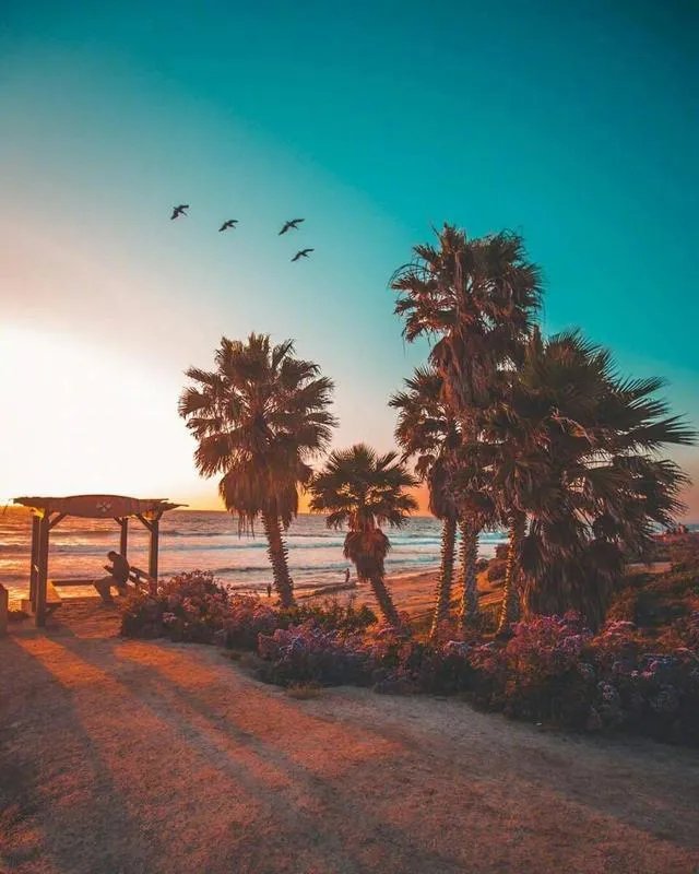 唯美图片伤感图片?