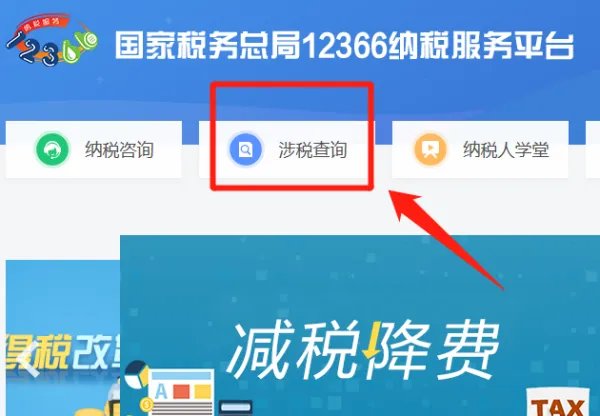 国税网查询