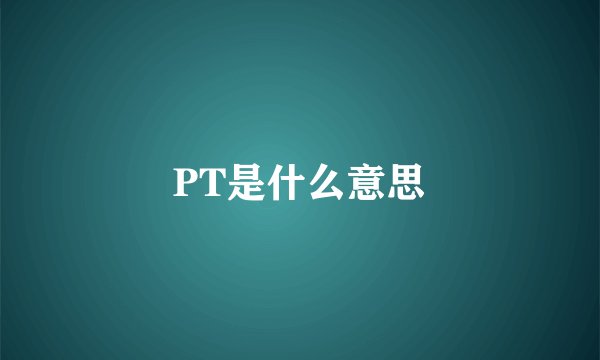 PT是什么意思
