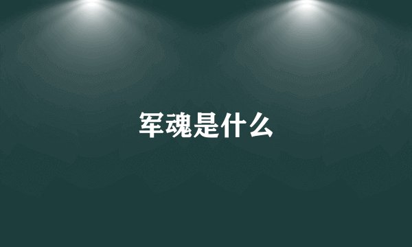 军魂是什么