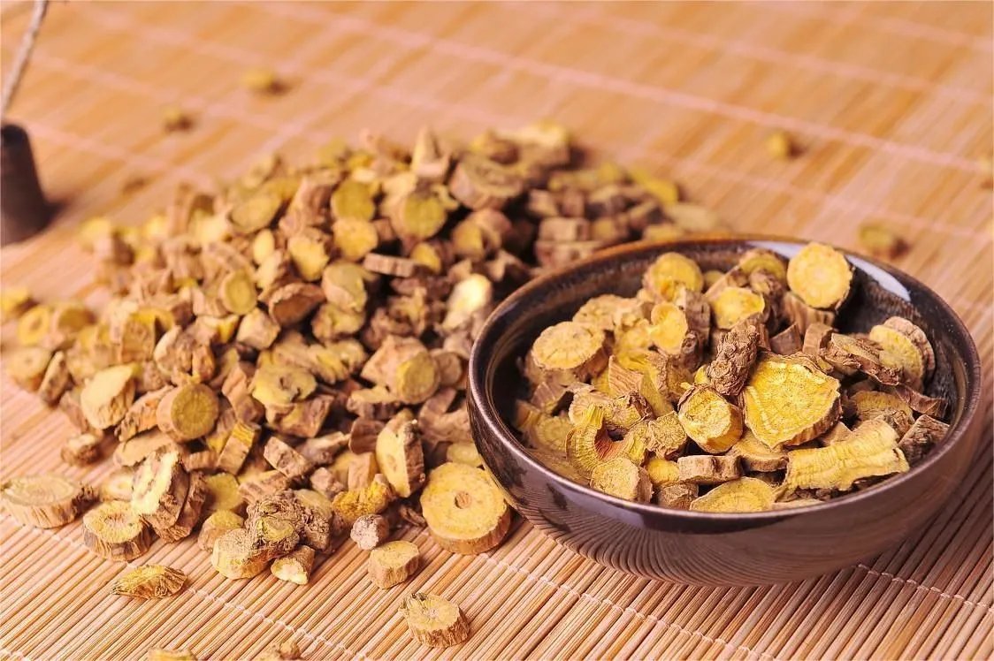 野生黄芩图片大全