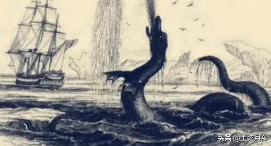 传说中的大海蛇,已经有几千年目击记录,为什么没留下任何证据?