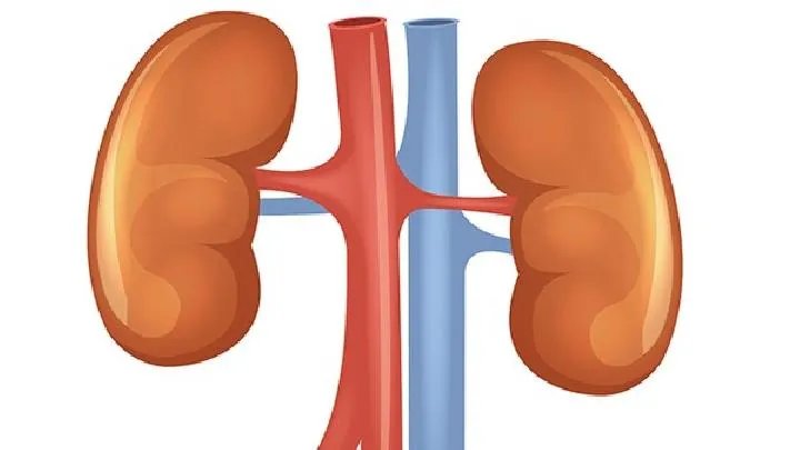 尿毒症有什么症状呢?