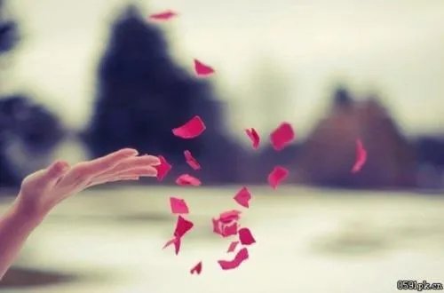 唯美图片伤感图片?