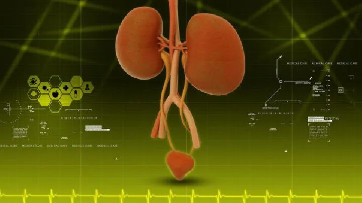 肾钙化需要做哪些化验检查