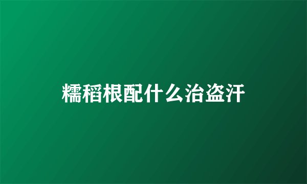 糯稻根配什么治盗汗