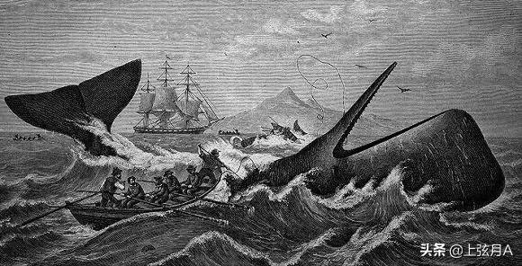 传说中的大海蛇,已经有几千年目击记录,为什么没留下任何证据?