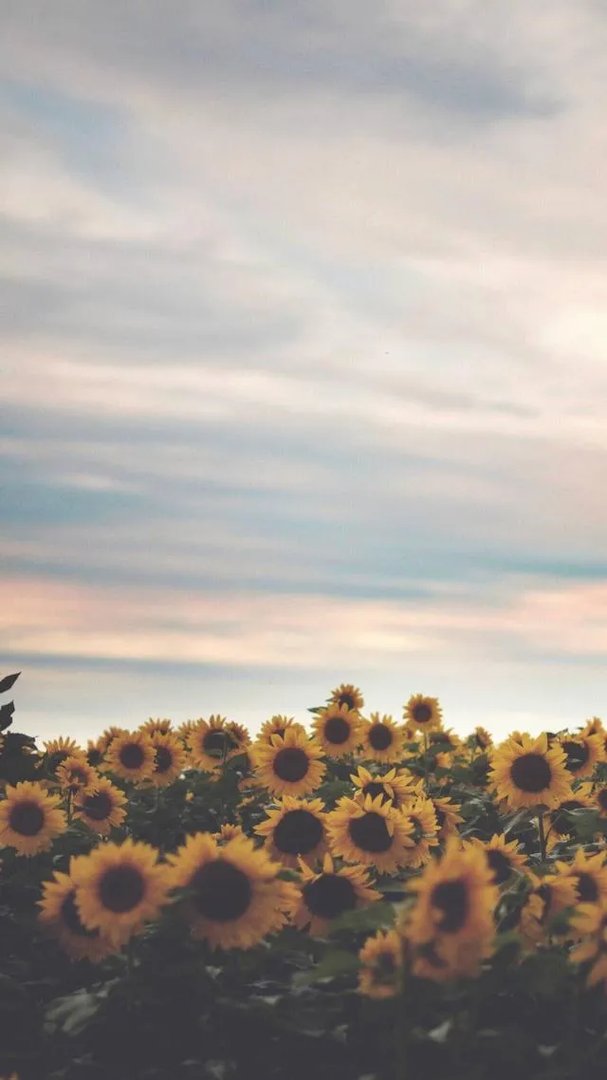 唯美图片伤感图片?