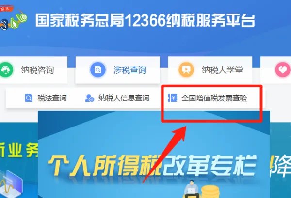 国税网查询