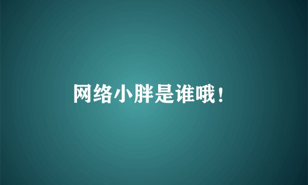 网络小胖是谁哦！