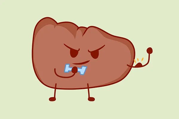 中药黄精的功效与作用