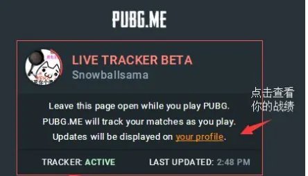 绝地求生战绩查询方法