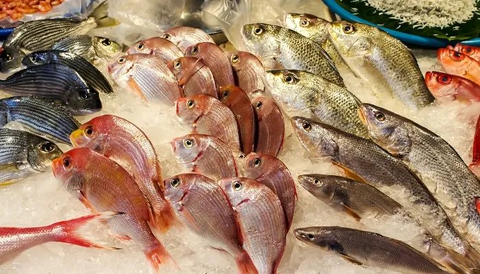 毒蛇鱼是什么鱼 毒蛇鱼是什么