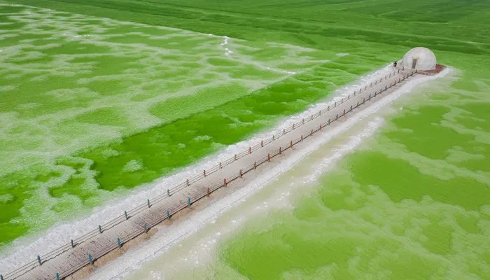 中国最大的盐湖叫什么 察尔汗盐湖简介