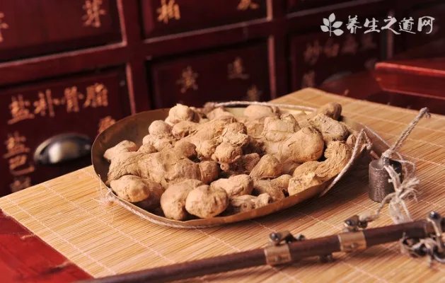 松针茶为什么不能多喝