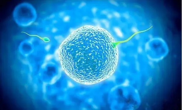 贵阳试管供卵价格-北京大学医院试管婴儿促排卵费用是多少？