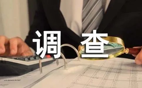 调查报告作文