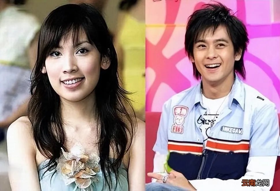 林志颖老婆陈若仪是怎么认识的 陈若仪个人资料简介