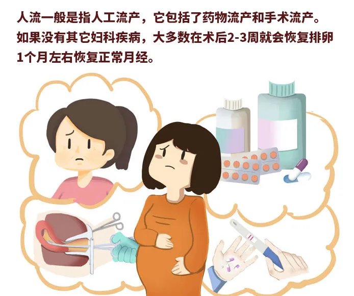 人流后多久排卵