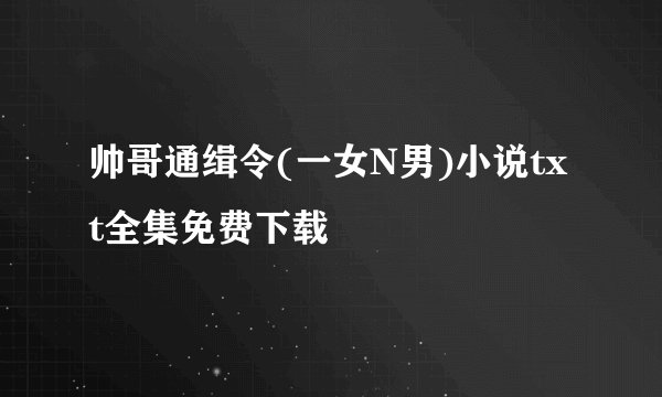 帅哥通缉令(一女N男)小说txt全集免费下载
