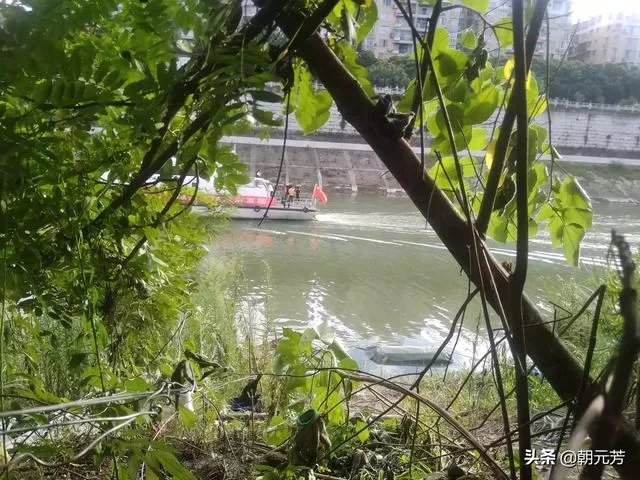 嘉陵江全江通航，千吨级船队可从广元直达上海, 你怎么看？