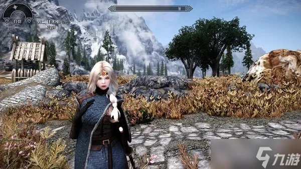 上古卷轴5和上古卷轴5天际特别版有什么区别