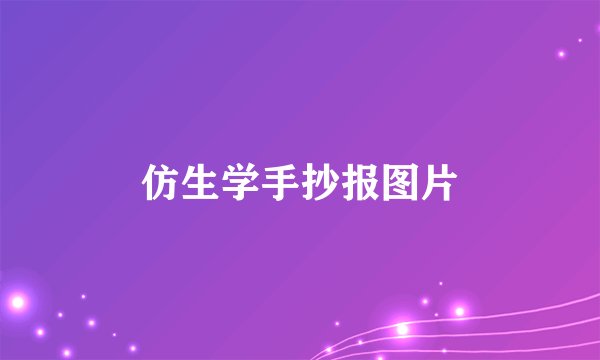 仿生学手抄报图片