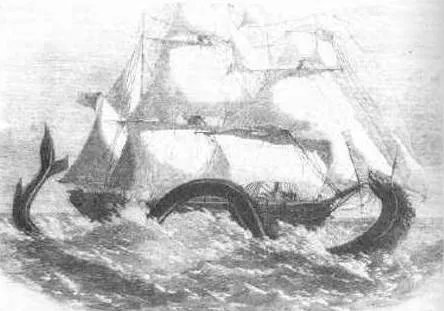 传说中的大海蛇,已经有几千年目击记录,为什么没留下任何证据?