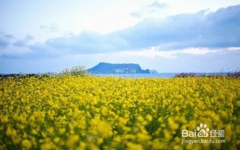 S6lol定位赛段位普遍低怎么办？