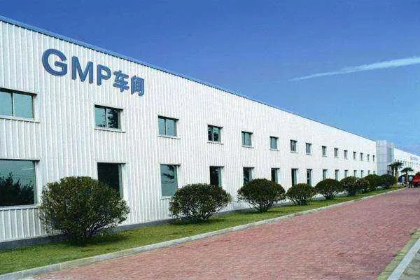 GMP是什么意思?