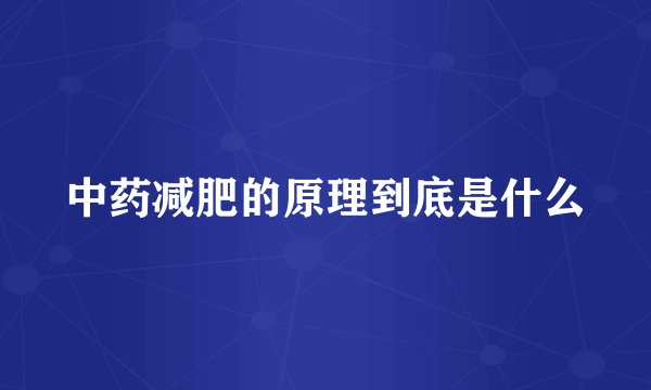 中药减肥的原理到底是什么