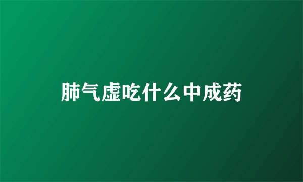 肺气虚吃什么中成药