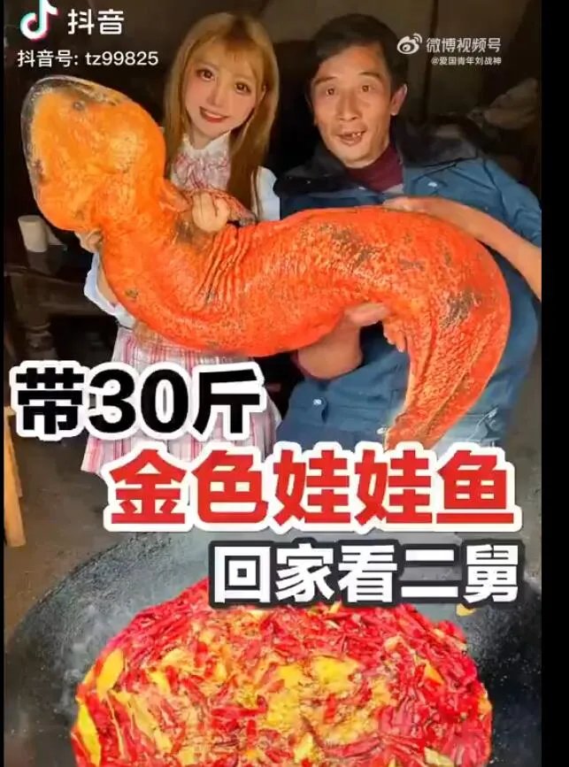 网红提子吃鲨鱼原视频，网红提子的真实身份