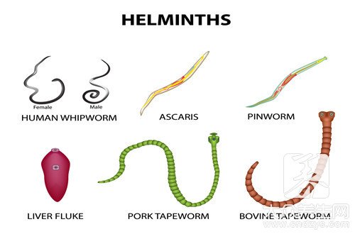 房间里有潮湿虫怎么办