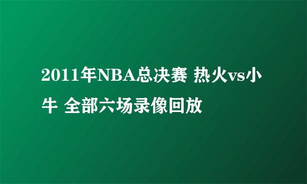 2011年NBA总决赛 热火vs小牛 全部六场录像回放