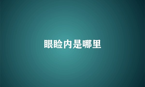 眼睑内是哪里