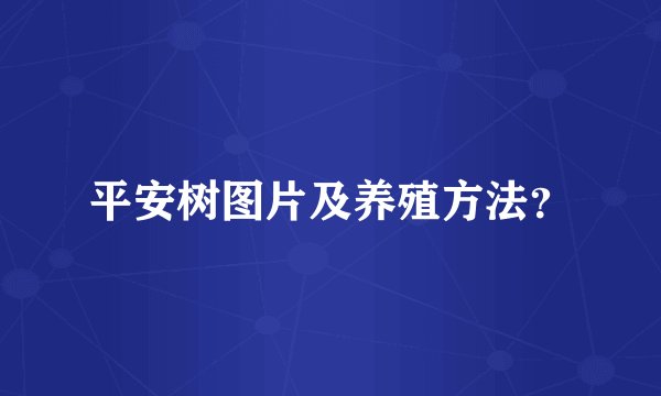 平安树图片及养殖方法?