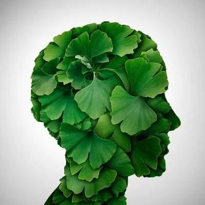阿尔茨海默症怎么检查出来