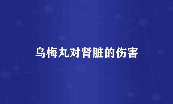 乌梅丸对肾脏的伤害