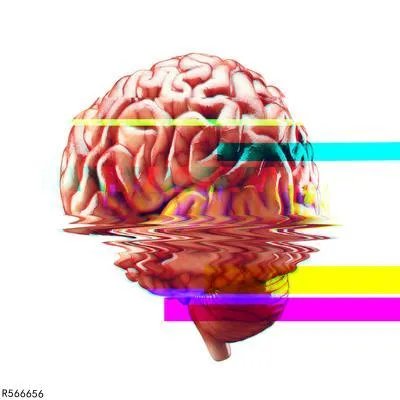 大脑供血不足要吃什么