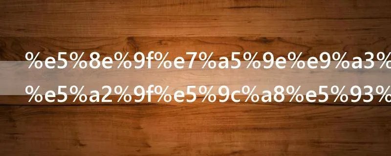 原神风龙废墟在哪里