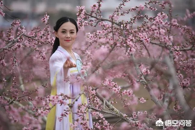 月上柳梢头人约黄昏后。写的是什么节日。