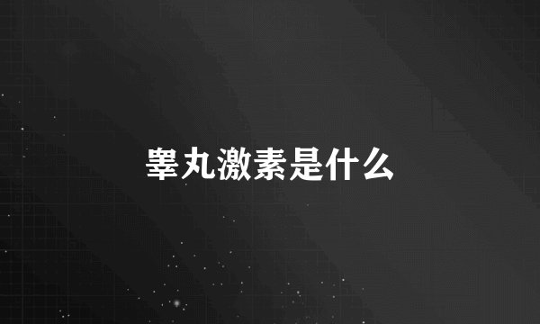 睾丸激素是什么
