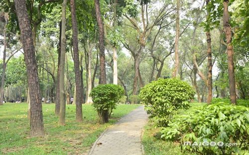 深圳旅游景点大全 一文告诉你深圳有哪些好玩的景点【深圳景点】